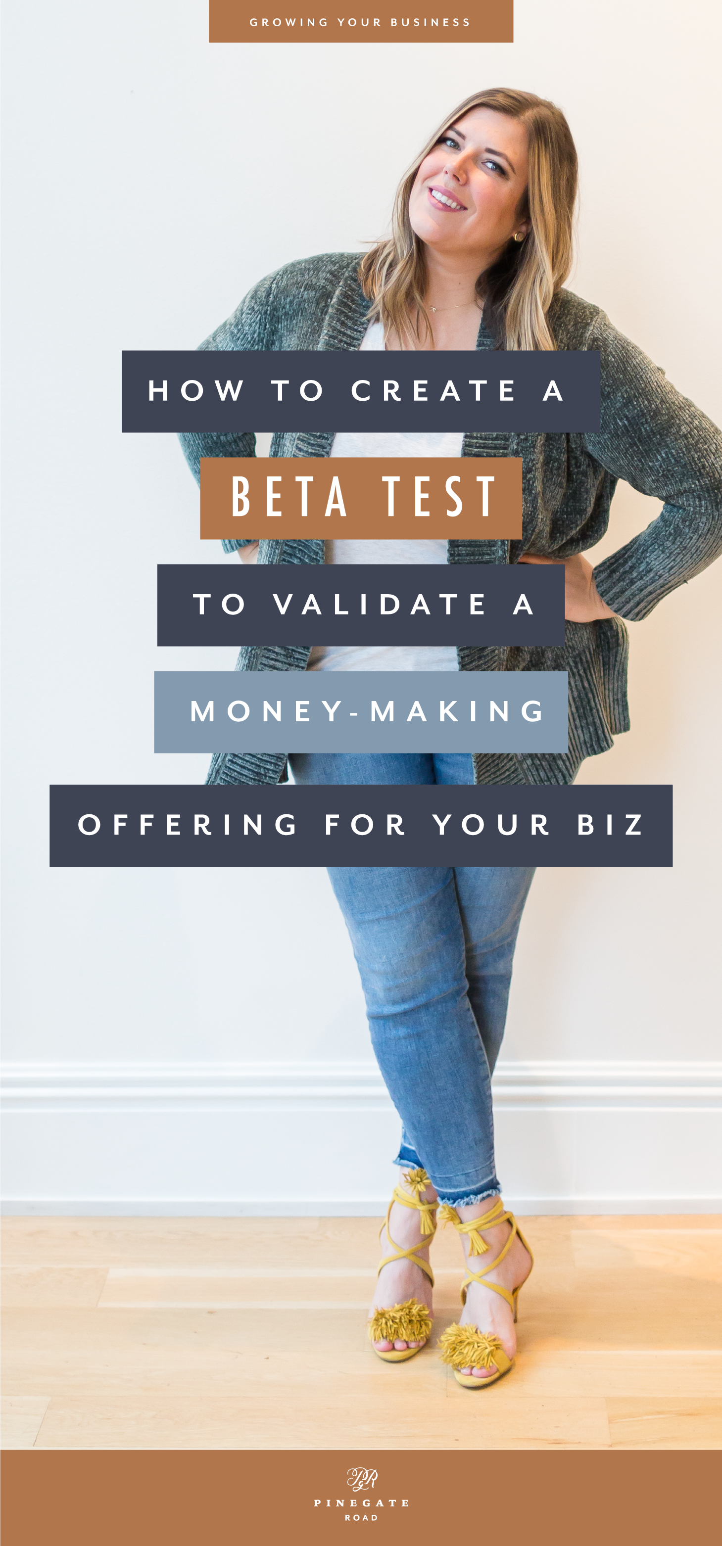 How to create a Beta Test to validate a money-making offering for your online business.
